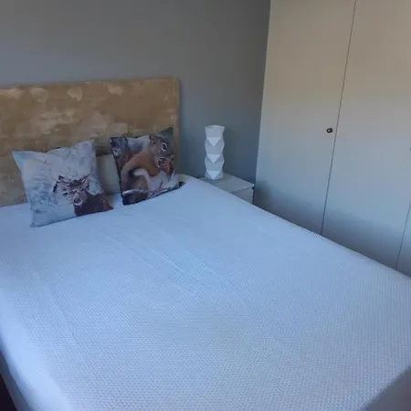 Marques 산타 크루즈